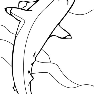 Ourcoloringpage Sharks 10
