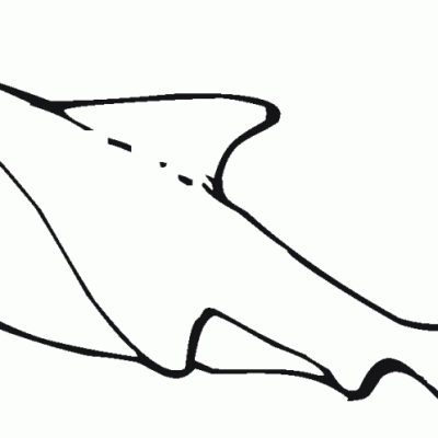 Ourcoloringpage Sharks 11