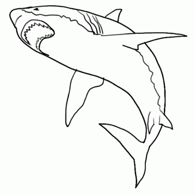 Ourcoloringpage Sharks 14