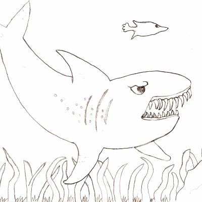 Ourcoloringpage Sharks 17
