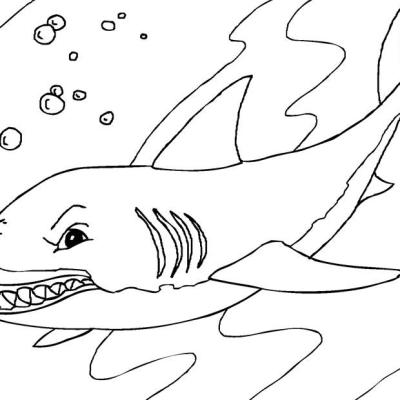 Ourcoloringpage Sharks 19