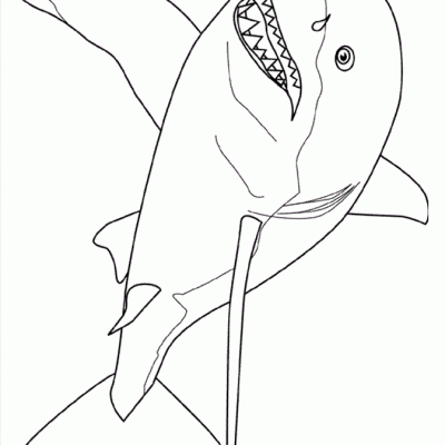 Ourcoloringpage Sharks 22