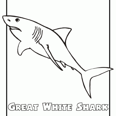 Ourcoloringpage Sharks 25