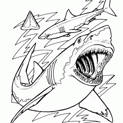 Ourcoloringpage Sharks 26
