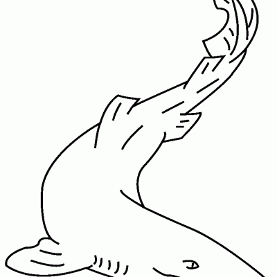 Ourcoloringpage Sharks 27