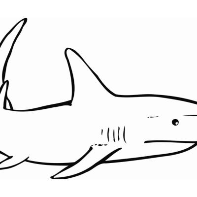 Ourcoloringpage Sharks 34