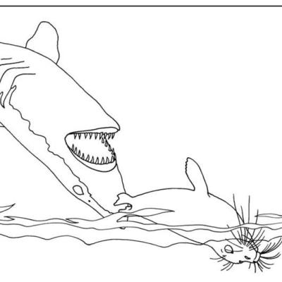 Ourcoloringpage Sharks 35