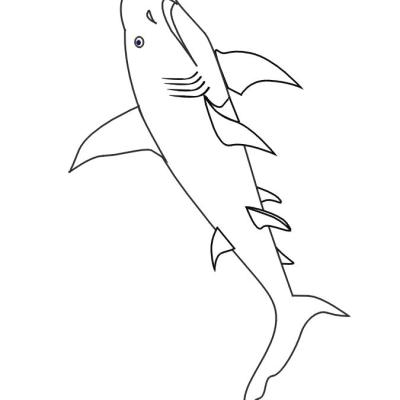 Ourcoloringpage Sharks 3