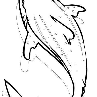 Ourcoloringpage Sharks 44