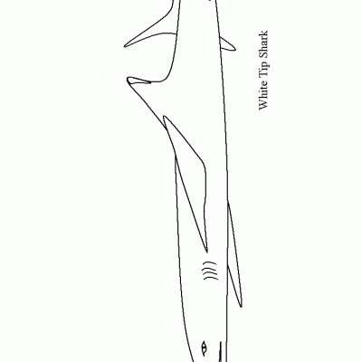 Ourcoloringpage Sharks 45