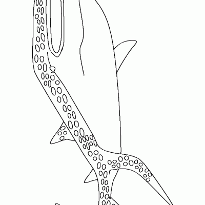 Ourcoloringpage Sharks 46