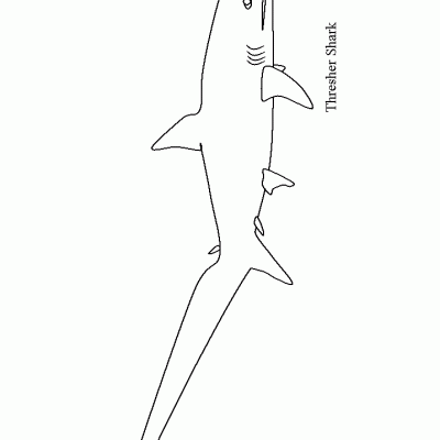 Ourcoloringpage Sharks 48