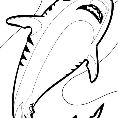 Ourcoloringpage Sharks 9