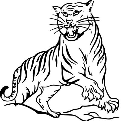 Ourcoloringpage Tigers 16