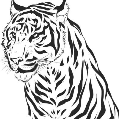 Ourcoloringpage Tigers 18