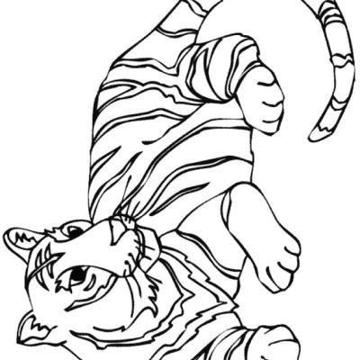 Ourcoloringpage Tigers 26