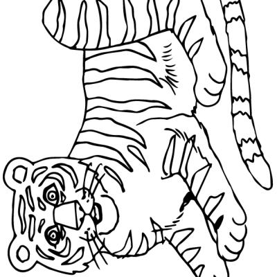 Ourcoloringpage Tigers 27