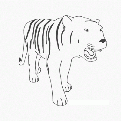 Ourcoloringpage Tigers 36