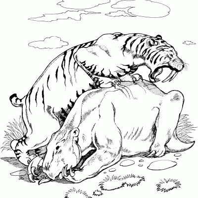 Ourcoloringpage Tigers 38