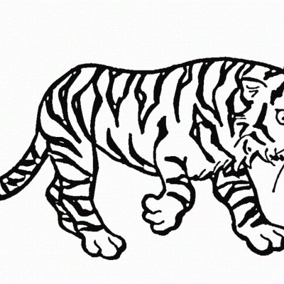 Ourcoloringpage Tigers 39