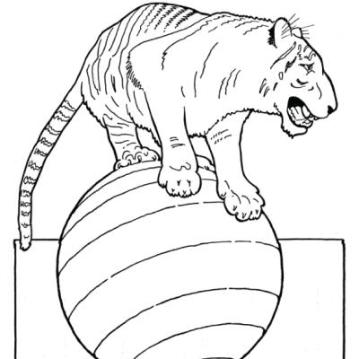 Ourcoloringpage Tigers 3