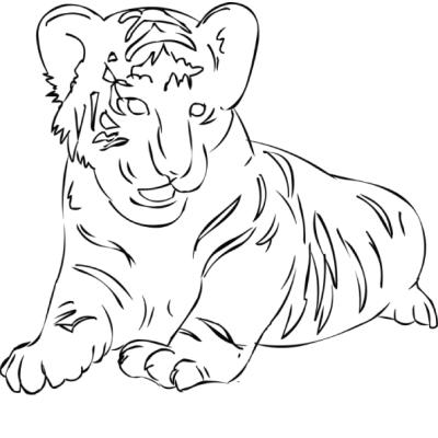 Ourcoloringpage Tigers 9