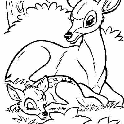 Ourcoloringpage Bambi 2