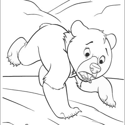Ourcoloringpage Brother Bear 25